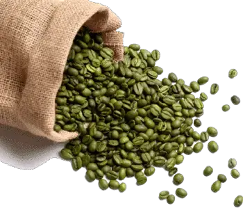 How long do green coffee beans stay fresh