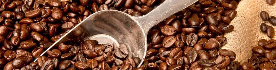 Does Ground Coffee Go Bad? How Long Does It Last Anyway?